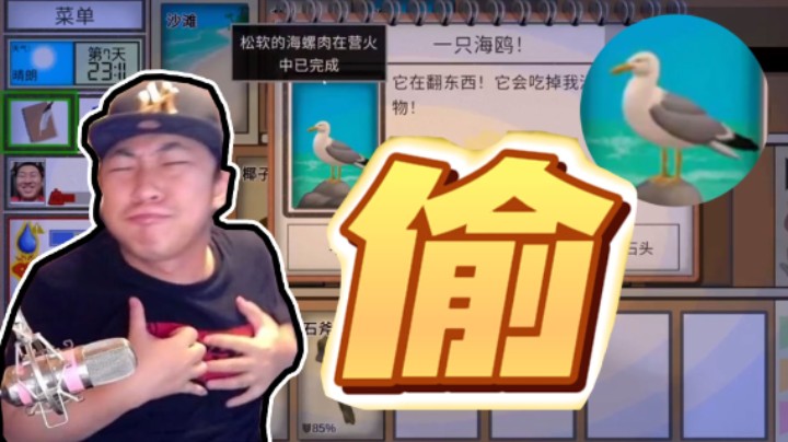 【杨树】能不能有人管管这个海鸥，就可劲偷是吧