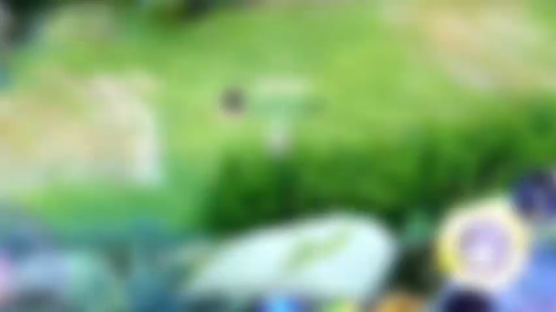 怎么对付老六这种？