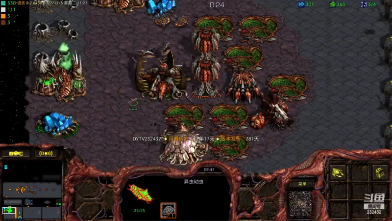 【2022-12-06 11点场】星际DSA联赛：天使风暴专业版DSA8.2.6x39