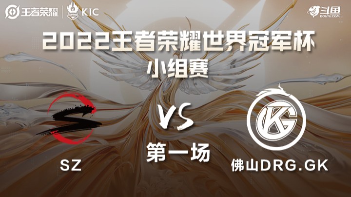 世界冠军杯小组赛 日本SZ VS 佛山DRG.GK 第一场