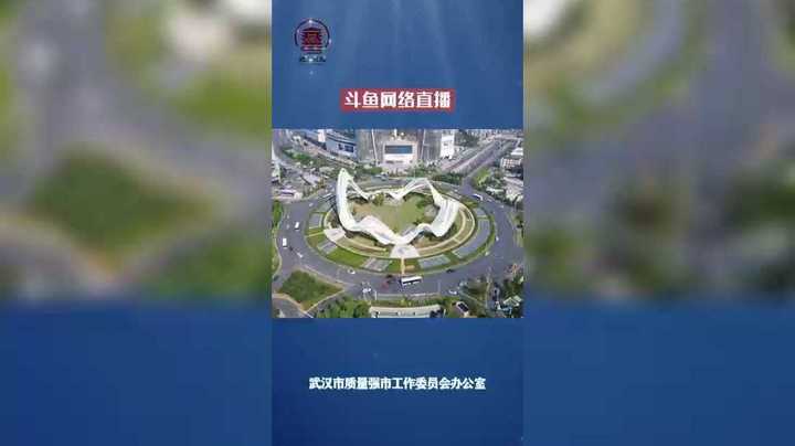 你知道吗？目前武汉互联网发展水平已位居全国前十！#斗鱼 #武汉名品