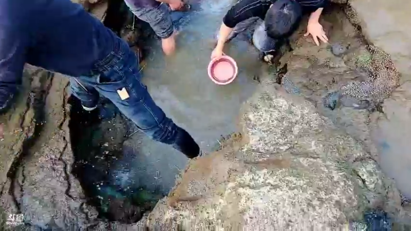 【2022-12-08 16点场】洪湖小肖：11点前开播