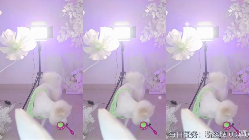 【添财慧 舞蹈】12-07 18:36