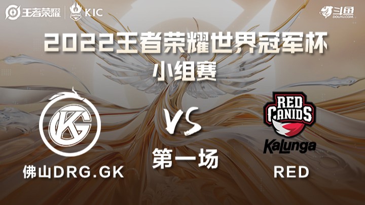 世界冠军杯小组赛 中国佛山DRG.GK VS 巴西RED 第一场