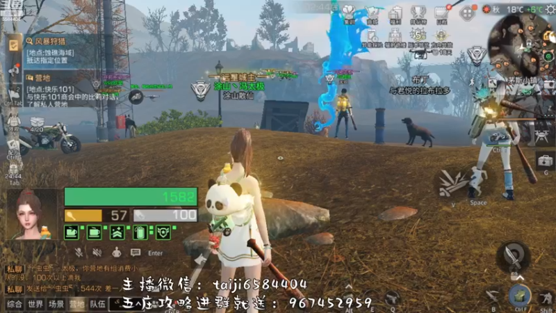 【2022-12-05 13点场】中华田园冯太极：今晚12点停服，该做的做完