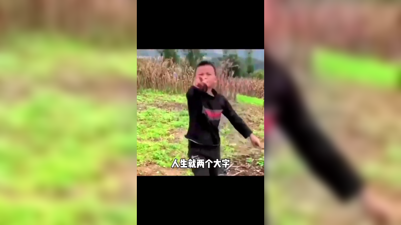 搞钱