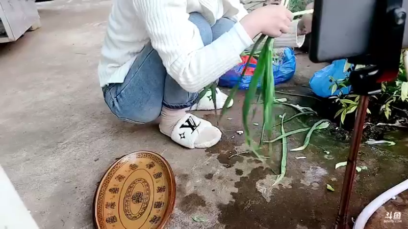 【2022-12-08 18点场】洪湖小肖：11点前开播