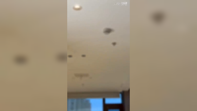 叫声姐姐 跟你走