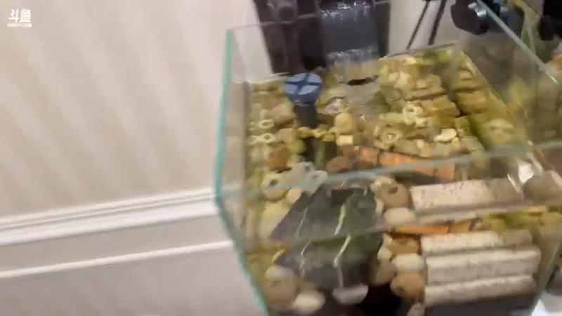 【2022-12-09 19点场】yjjimpaopao：今天先射击啊！！！