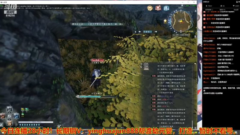 【2022-12-05 10点场】樱花丶君：单刷速成炼虚之路