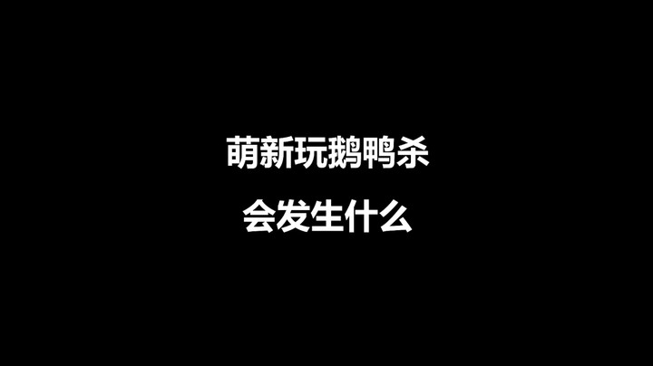 你们看见多多啦？？
