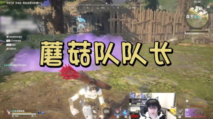 森罗古蘑菇队长