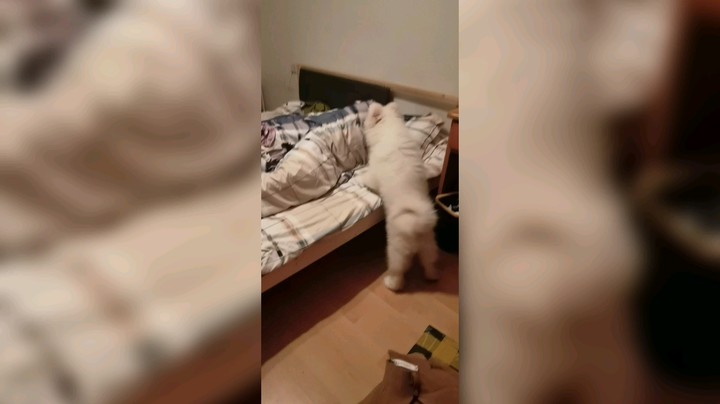 元宝小时候真可爱