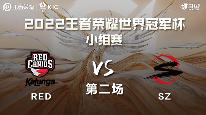 世界冠军杯小组赛 巴西RED VS 日本SZ 第二场