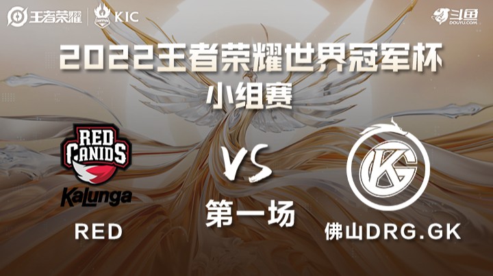 世界冠军杯小组赛 巴西RED VS 中国佛山DRG.GK 第一场