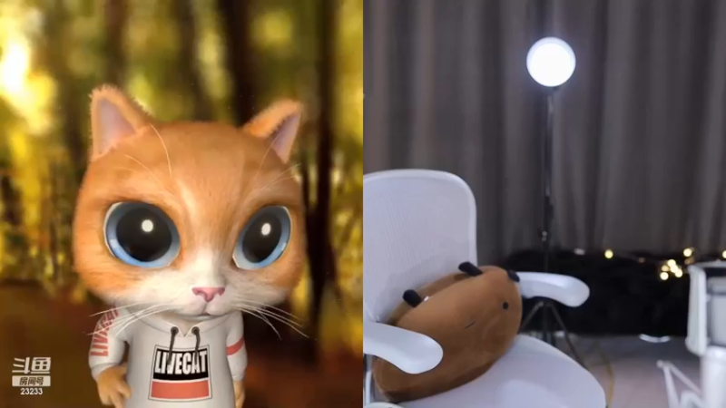 【2022-12-12 13点场】喵小莎：中午12  晚上10.30