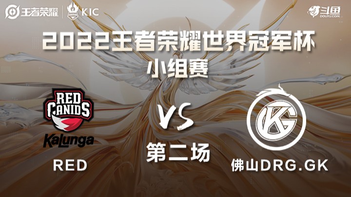 世界冠军杯小组赛 巴西RED VS 中国佛山DRG.GK 第二场