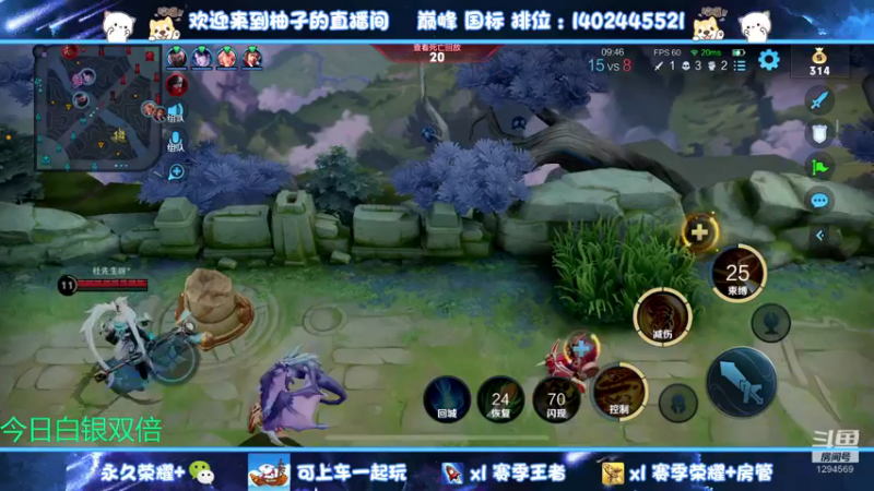【2022-12-11 23点场】毕竟是柚子：Q区带粉上荣耀 1294569