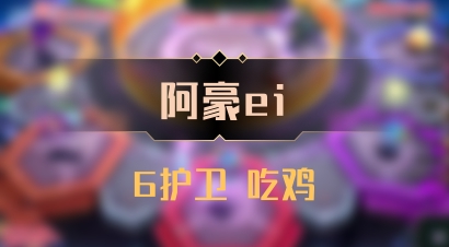 【阿豪ei】6护卫 吃鸡
