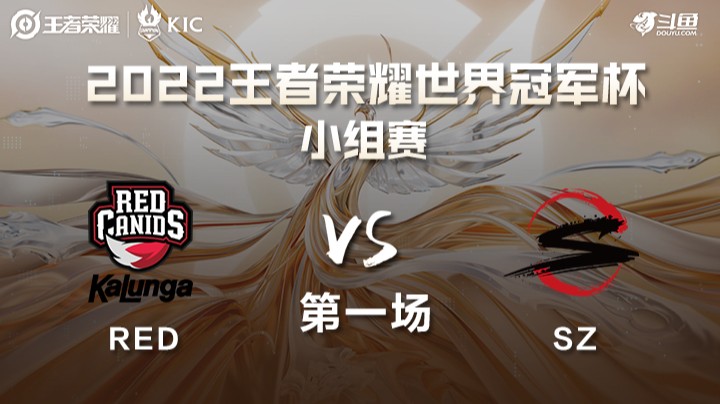 世界冠军杯小组赛 巴西RED VS 日本SZ 第一场