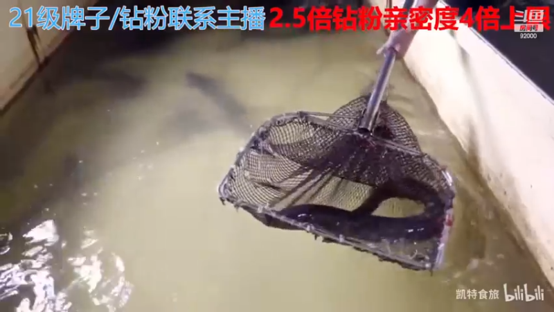 【2022-12-12 12点场】呆妹儿小霸王：【钻粉2.5倍】：三台橙子上线啦