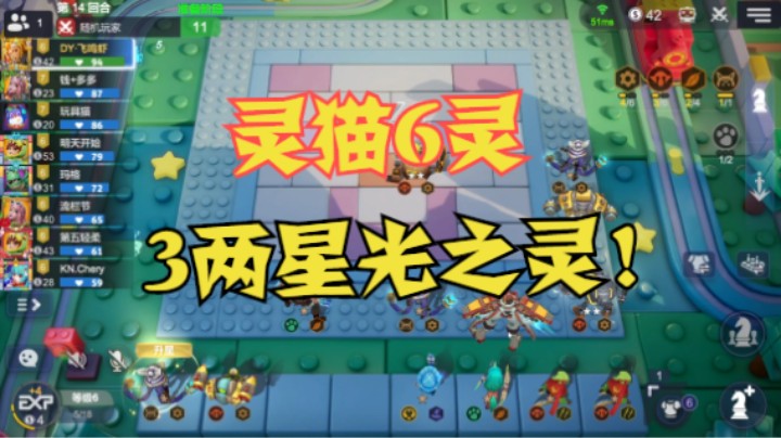 灵猫6灵——3三星灵猫+3两星光之灵