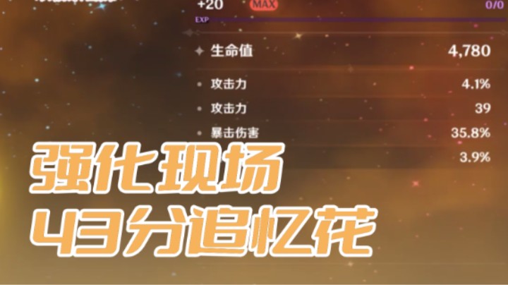 强化现场-43分追忆花