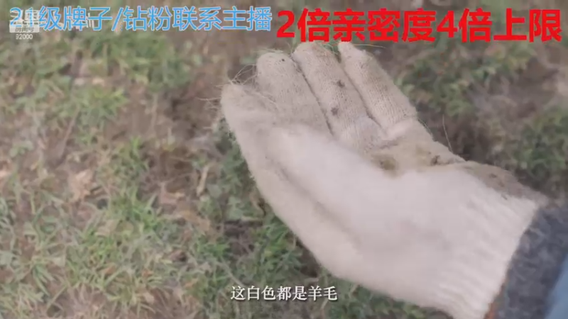 【2022-12-13 10点场】呆妹儿小霸王：【钻石4倍】：一起see
