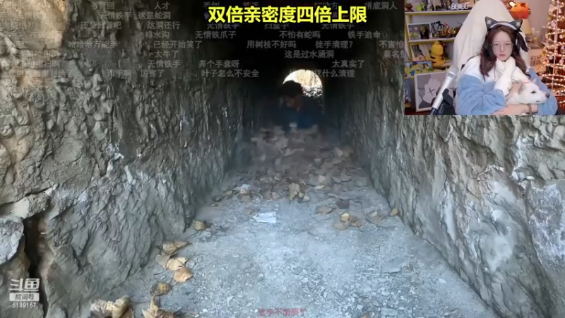 【2022-12-13 00点场】骆歆冲冲冲：双倍：主播155