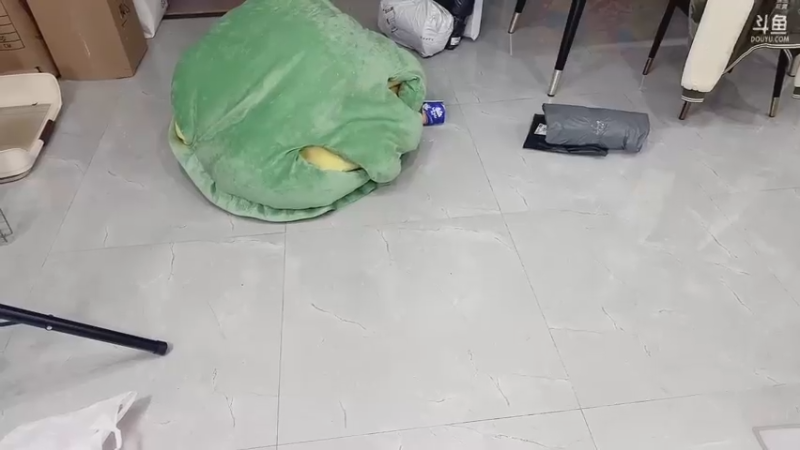 【2022-12-12 23点场】别问问就黑皮：【小奶团】记得续牌子阿！！