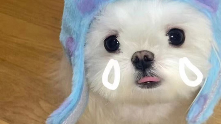 【2022-12-12 16点场】高冷又酷的蔓哥哥:【蔓蔓】不可结缘 徒增寂寞