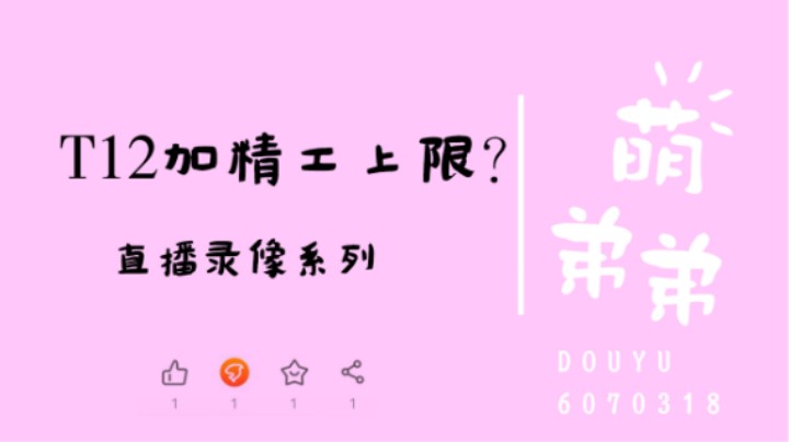 T12加精工上限？