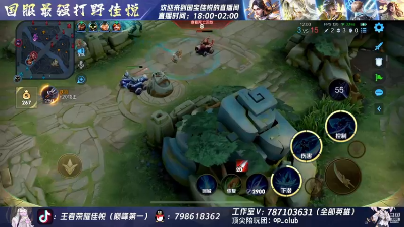 【2022-12-14 20点场】国宝佳悦：国服打野巅峰赛冲冲冲