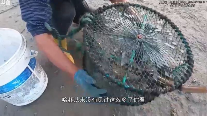 【2022-12-15 02点场】胖胖灬：胖胖OB：LNG Scout！EDG 寄