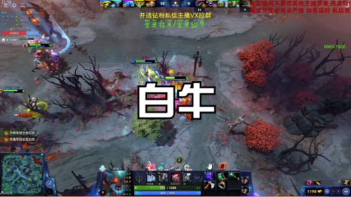 白牛