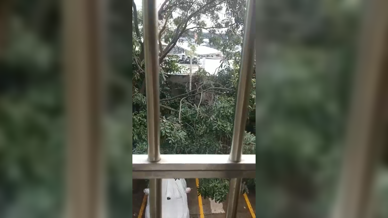 今天天气可真好
