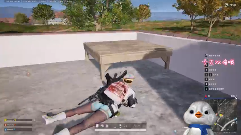 【2022-12-15 17点场】内只鹅：【小奶团】小趴菜也不想当憨憨啊