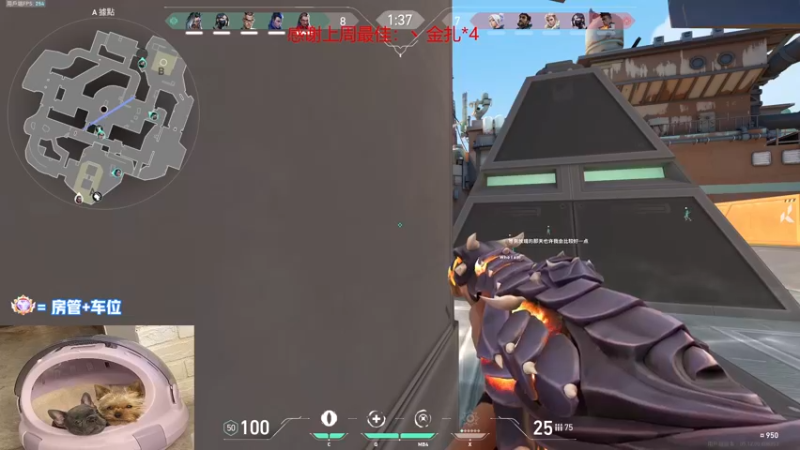 【2022-12-15 23点场】瓦罗兰特啊杰：【啊杰】：双倍亲密度！！！