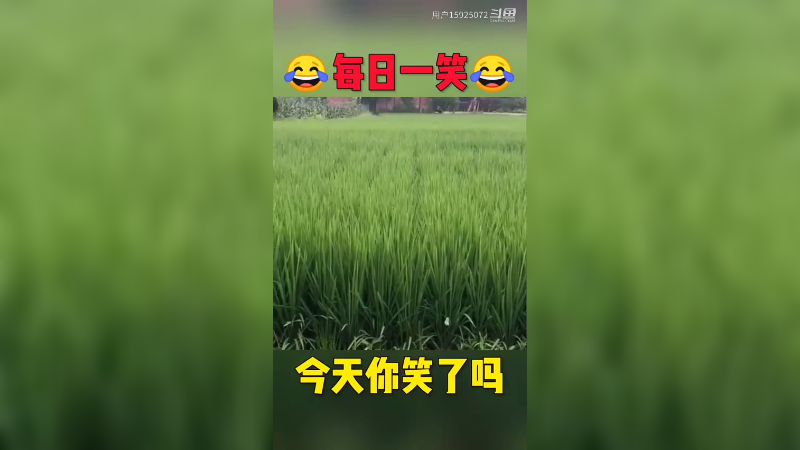 啊哈哈，这路还挺滑