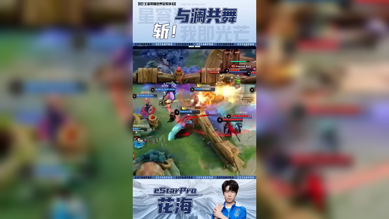 小鲨鱼来咯