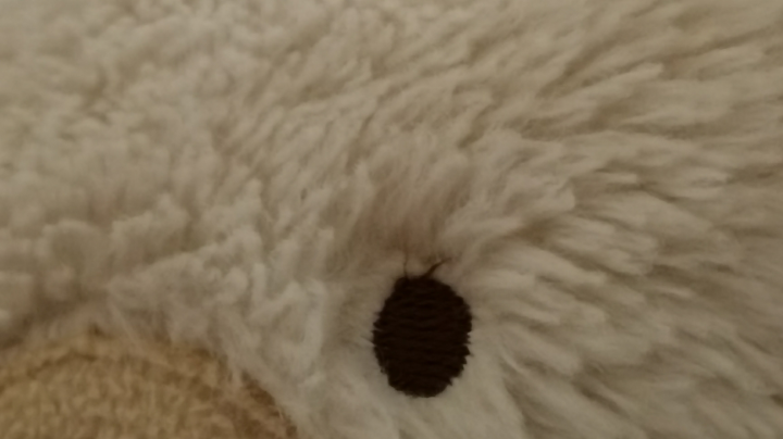 【2022-12-16 21点场】心悦Lauky:又挨揍啊啊啊啊啊啊