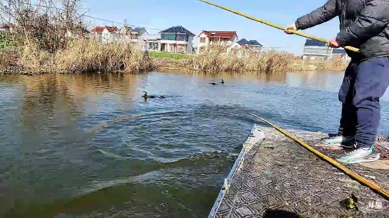 【户外】微山湖捕鱼武工队的精彩时刻 20221218 11点场