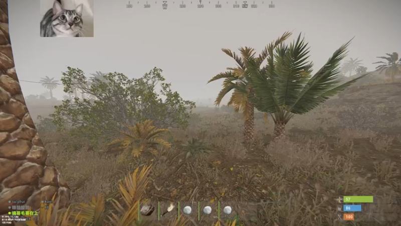 【2022-12-17 09点场】SAYA丶J：山羊之力继承者