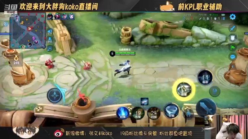 【2022-12-17 22点场】大胖狗koko：退役职业 巅峰赛辅助