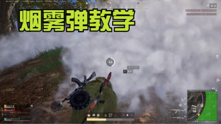 这才是投掷物的正确用法！数一数总共用了多少颗烟？