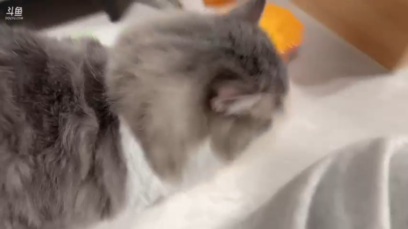 【2022-12-18 19点场】DYG萧玦：打会排位表现