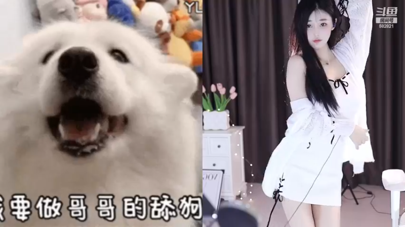 【2022-12-18 14点场】苏小懒38D：❤呆萌懒妹无敌射手嘎嘎下饭1