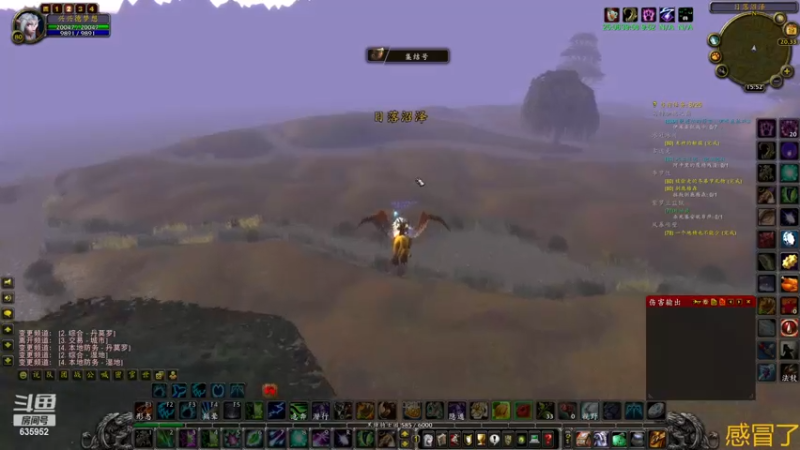 【2022-12-19 15点场】兴兴的梦想：国服火锤联盟，亞服伊佛斯部落635952