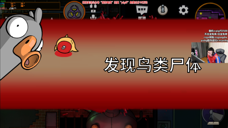 我在斗鱼看pigff直播热门游戏