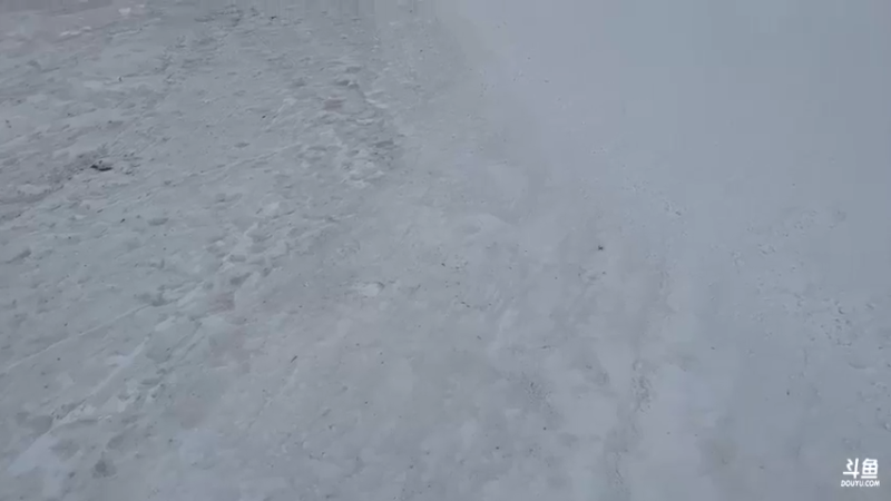 【2022-12-20 15点场】黑欢喜：滑雪去，走。。。